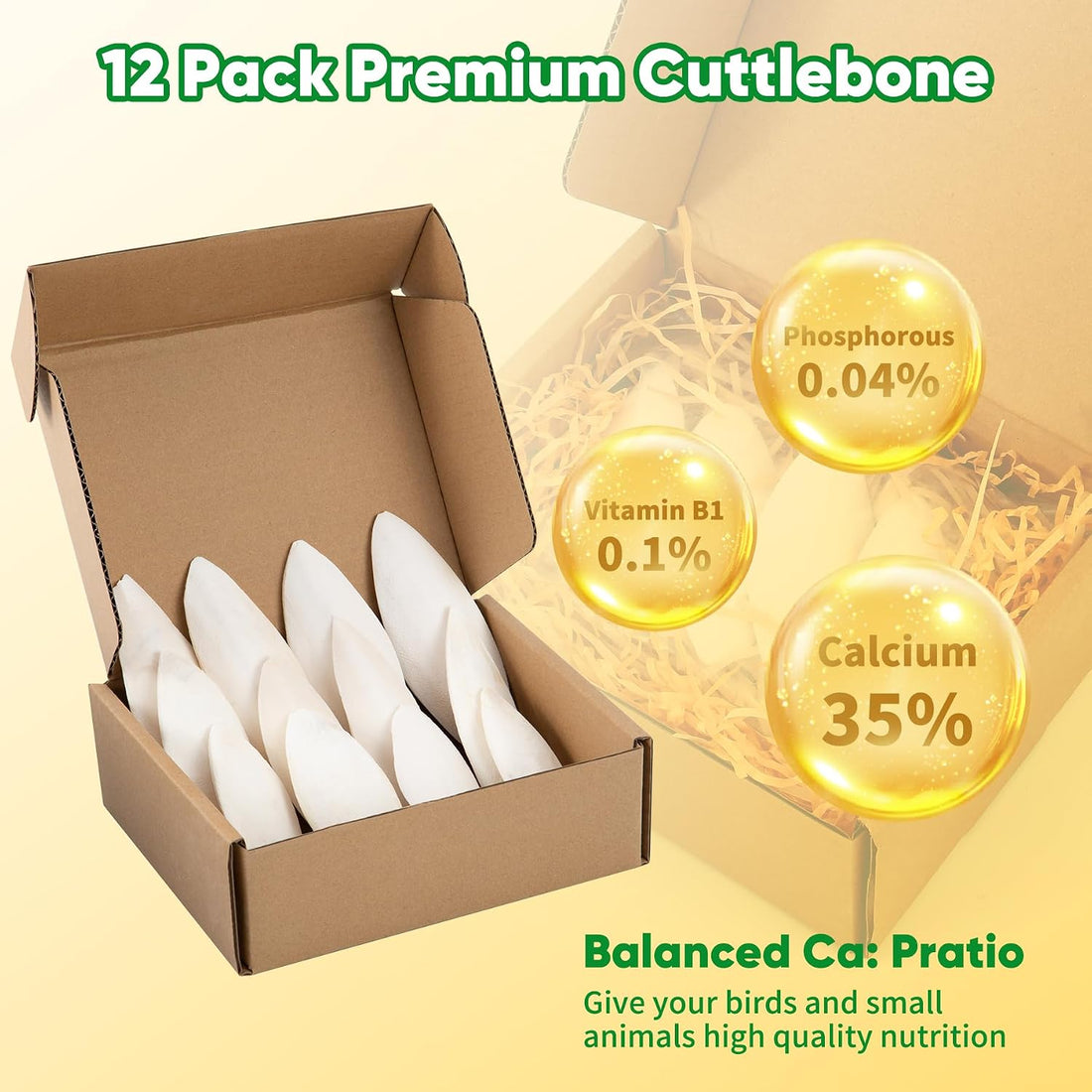 Amzey 12 Pack Cuttlebone for Birds