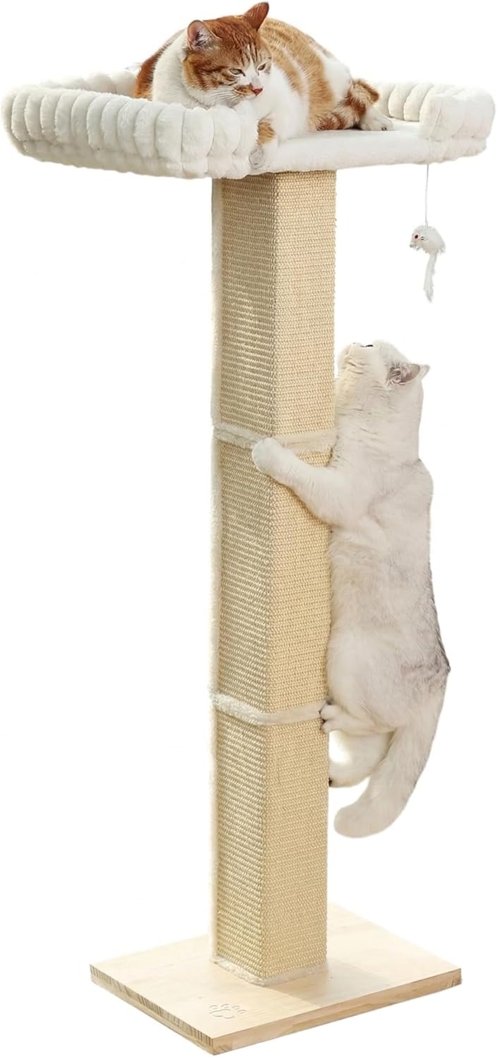 Cat Scratching Post with Large Window Perch