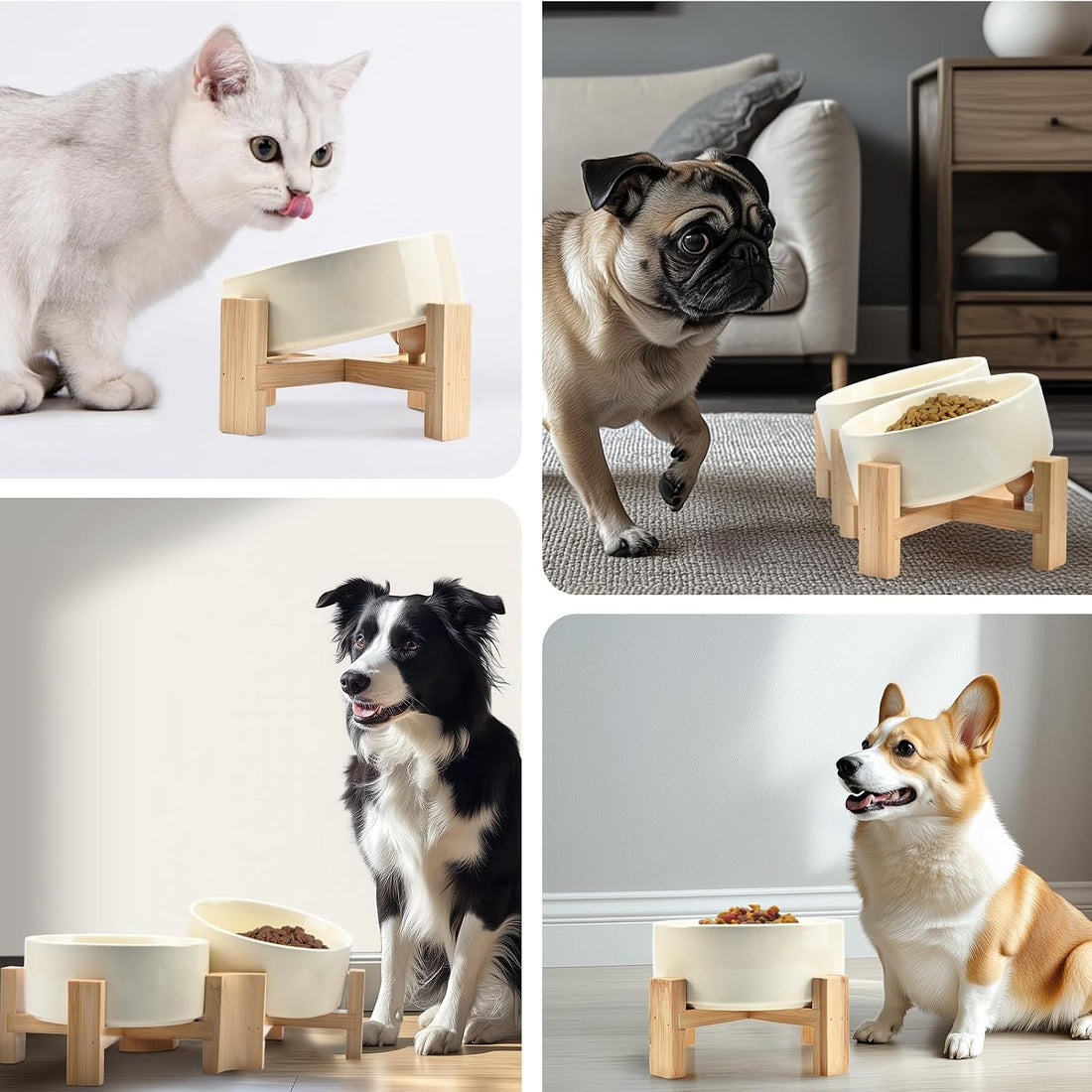 SPUNKYJUNKY 15° Slanted Ceramic Dog and Cat Bowl with Wooden Stand