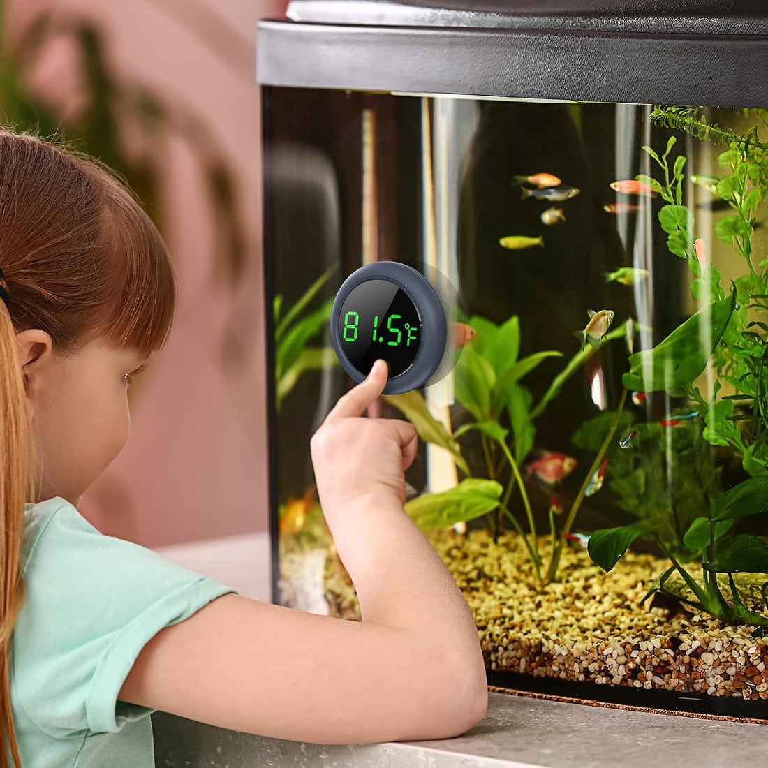 PAIZOO Aquarium Thermometer Digital