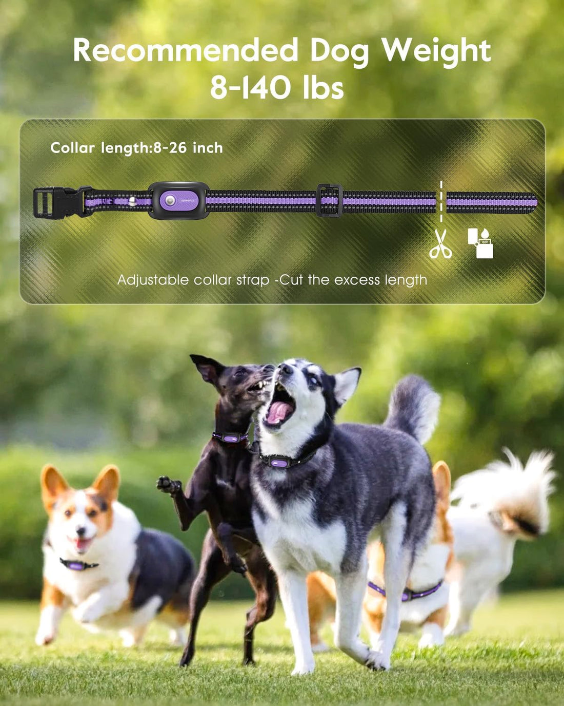 SLOPEHILL Dog Shock Collar 2 Dogs,4200FT Dog Training Collar
