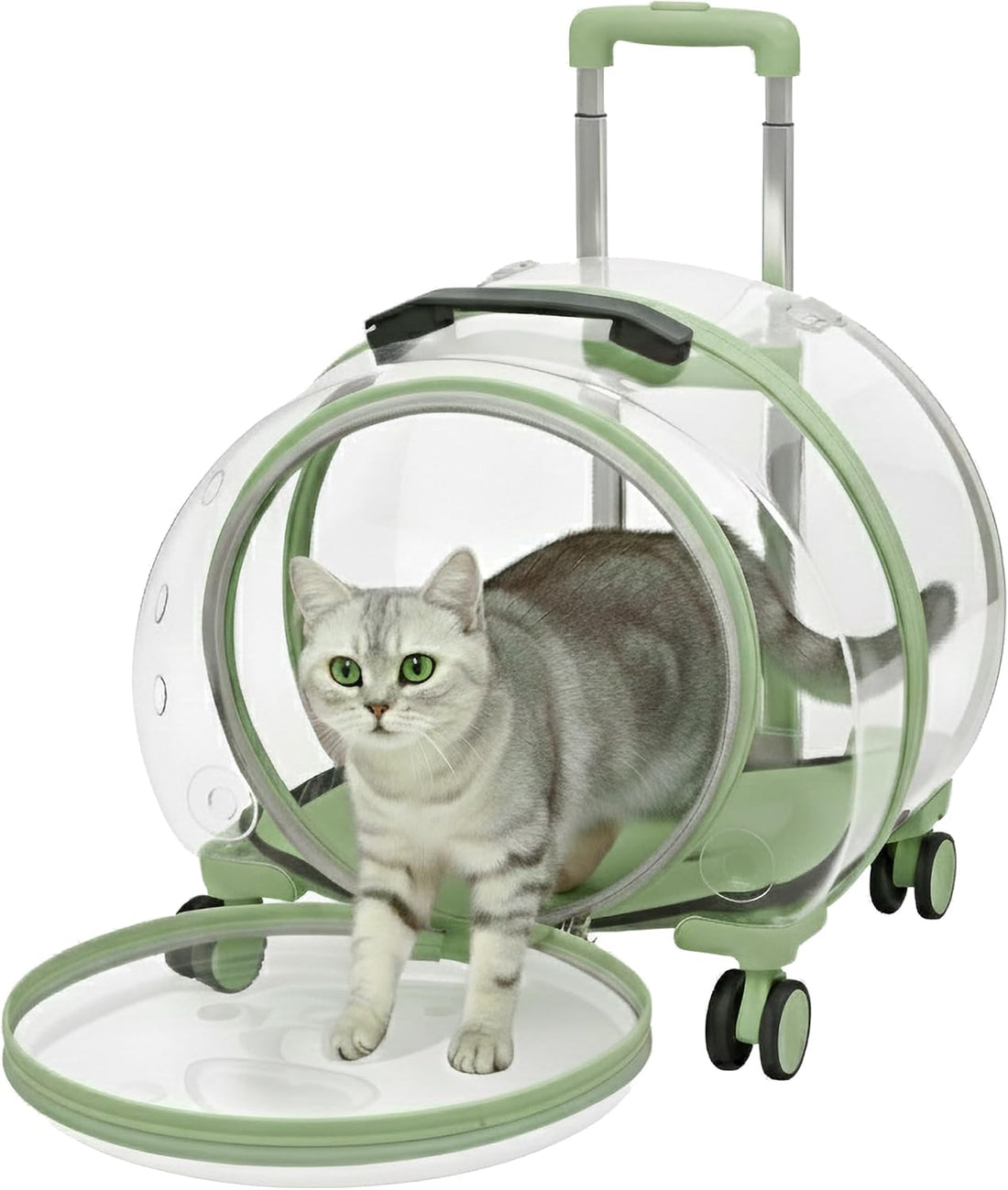Transparent Hard Shell Cat Carrier with Wheels