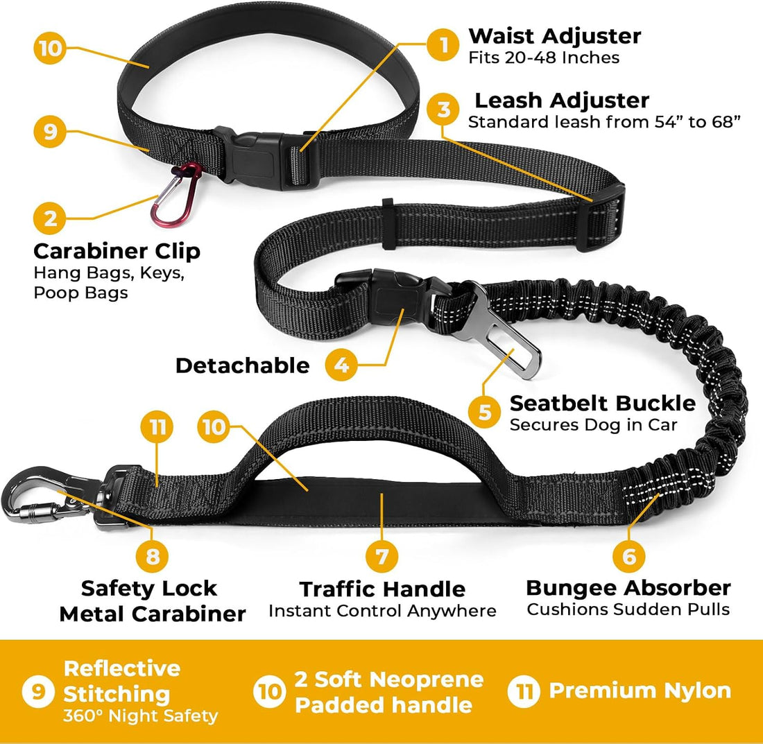 PETCARE 4 in 1 Hands Free Dog Leash with Car Seatbelt Buckle