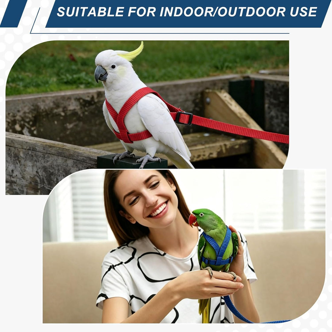 Bird Harness and Leash Adjustable Parrot Leash 47.2" S