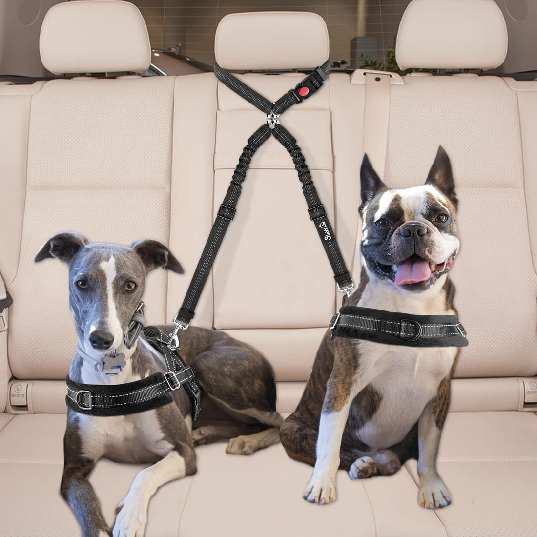 Lukovee Double Dog Seat Belt