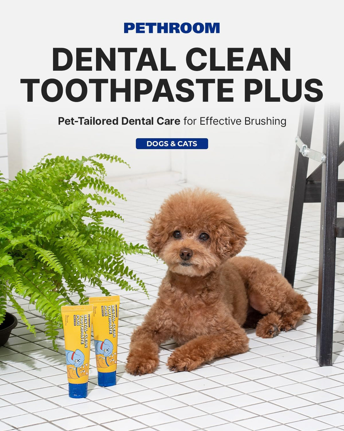 PETHROOM Dental Clean Toothpaste Plus for Dogs & Cats