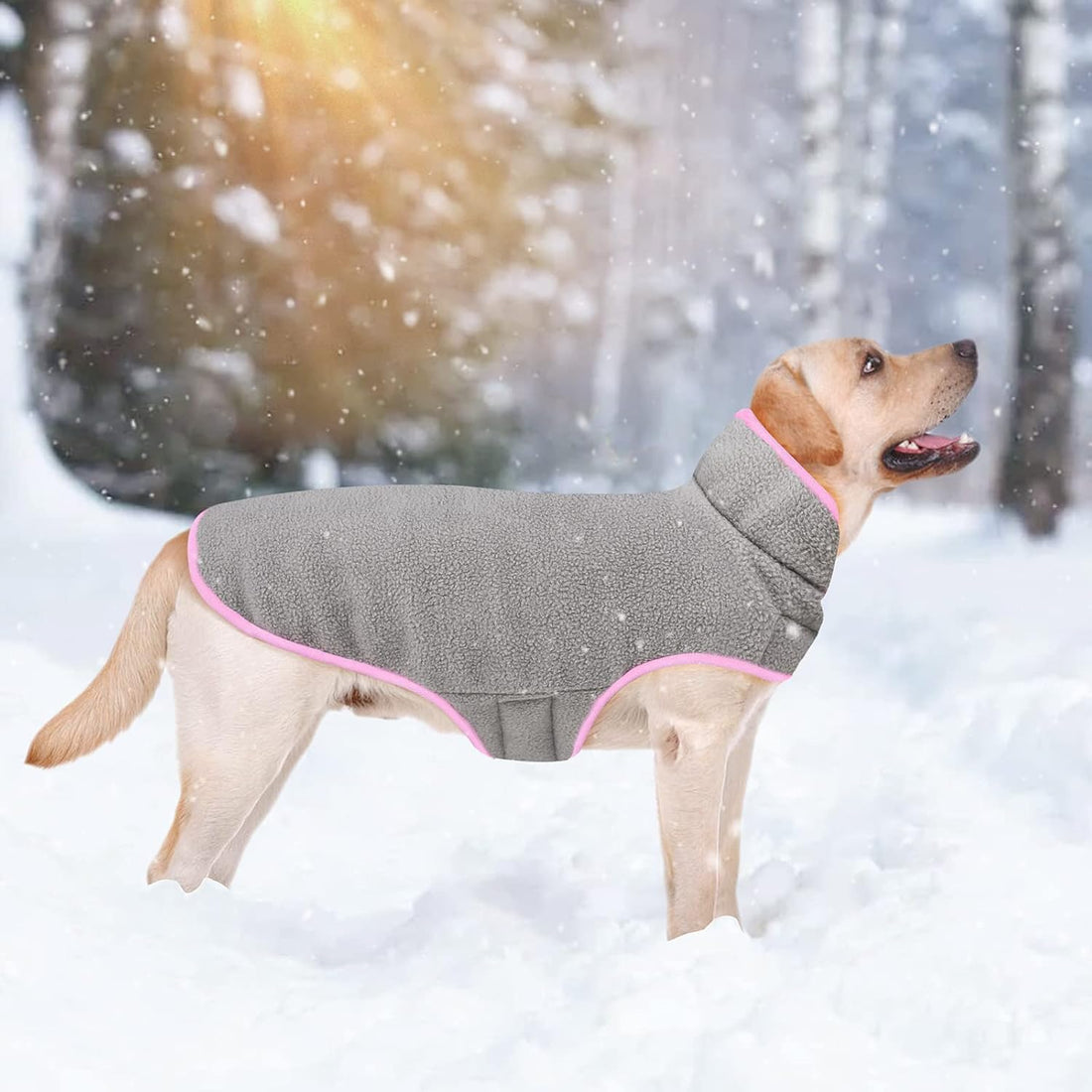Malier Dog Winter Coat, Reversible Fleece, Small, Pink - Windproof
