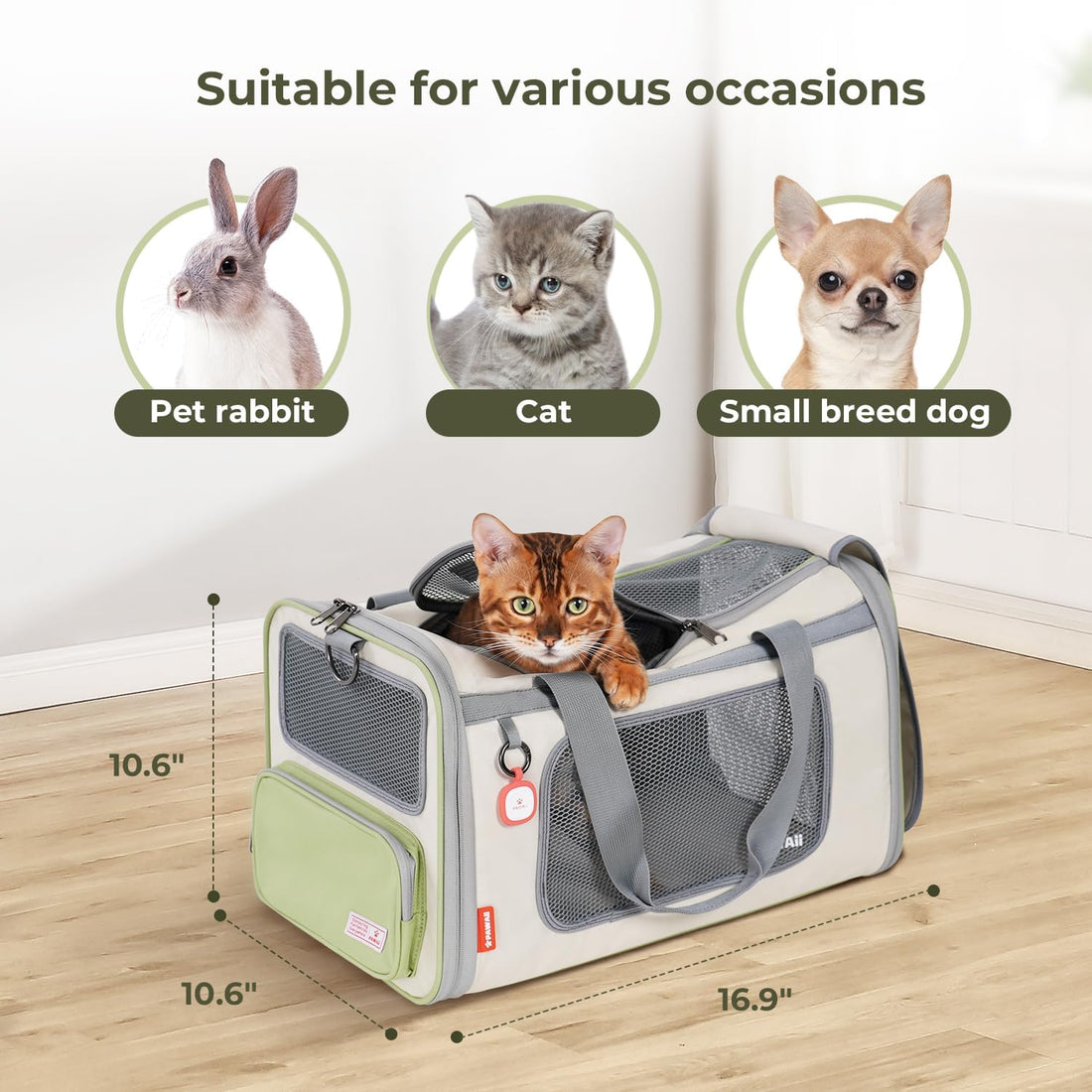 Pawaii Cat Carrier with ID Tag