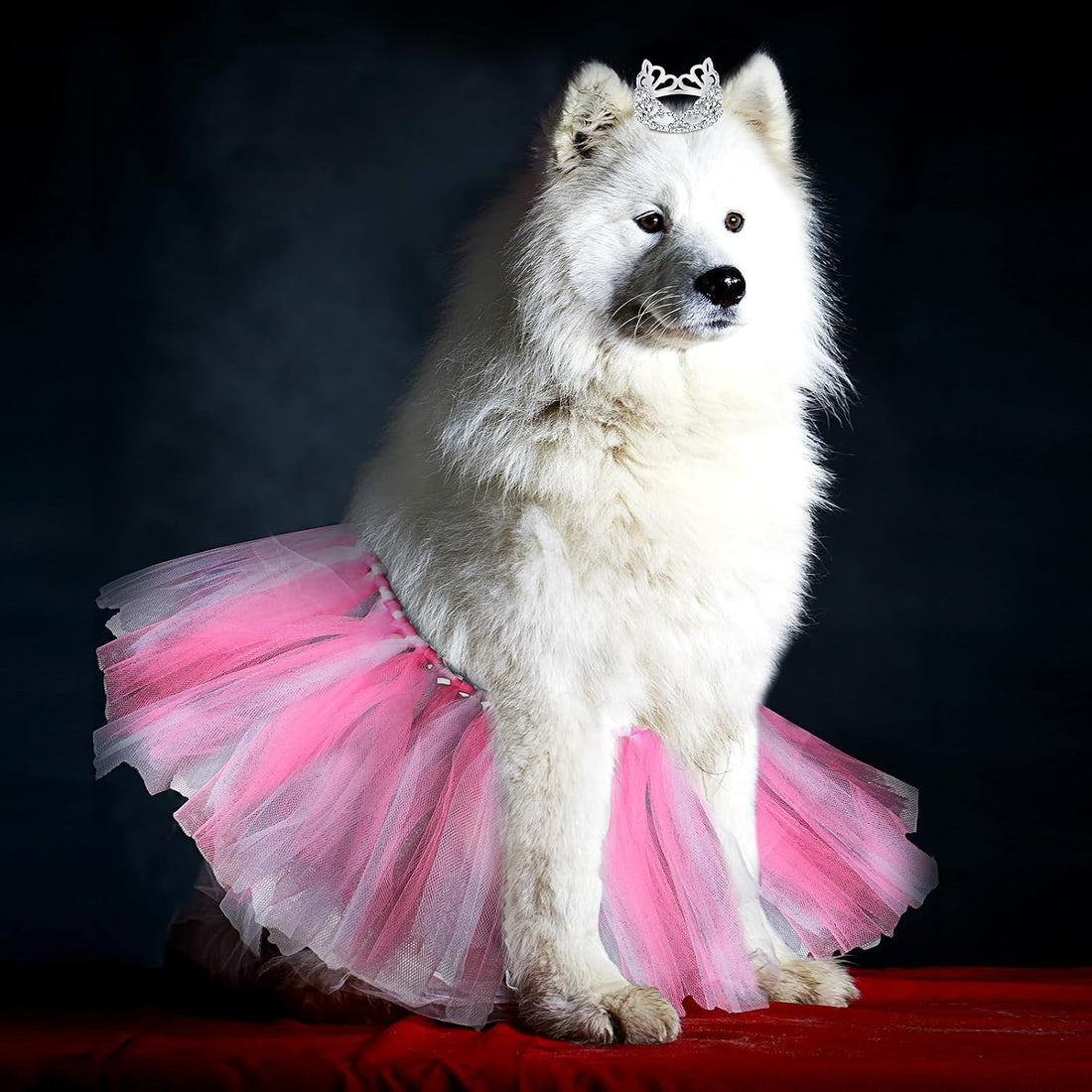 2 Pcs Dog Crown Headband Dog Tutu Dress Set Crystal Rhinestone Tiara