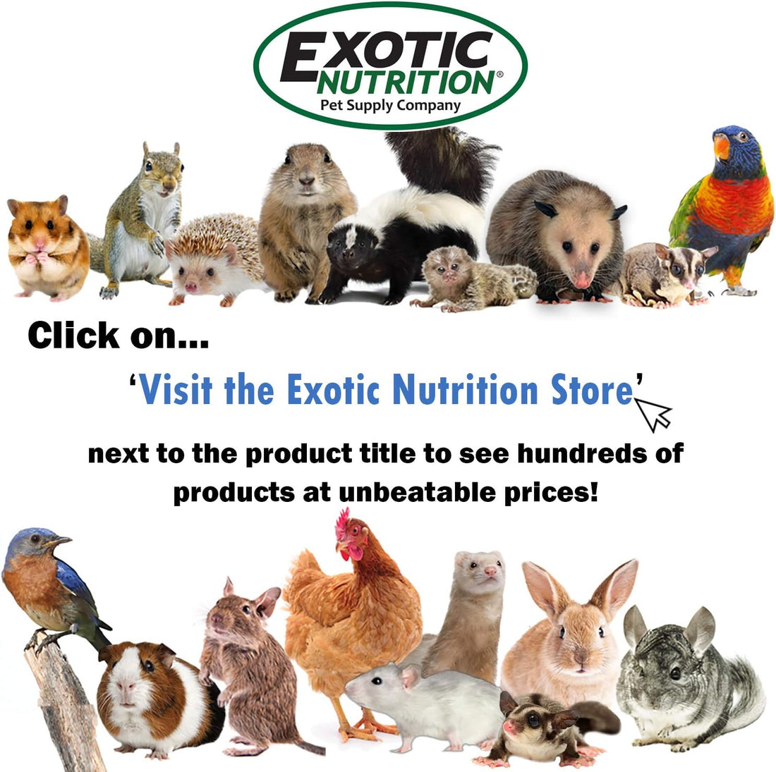 Sandy Track - for Orange Silent Runner 12" Regular