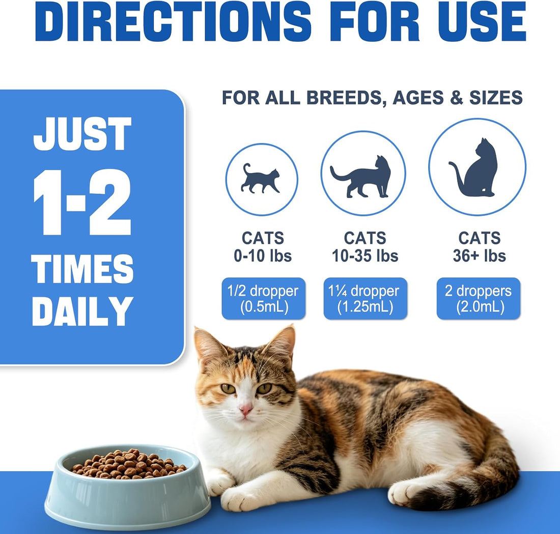 Cat Antibiotic for Infections, UTIs, Respiratory Moments, Cold