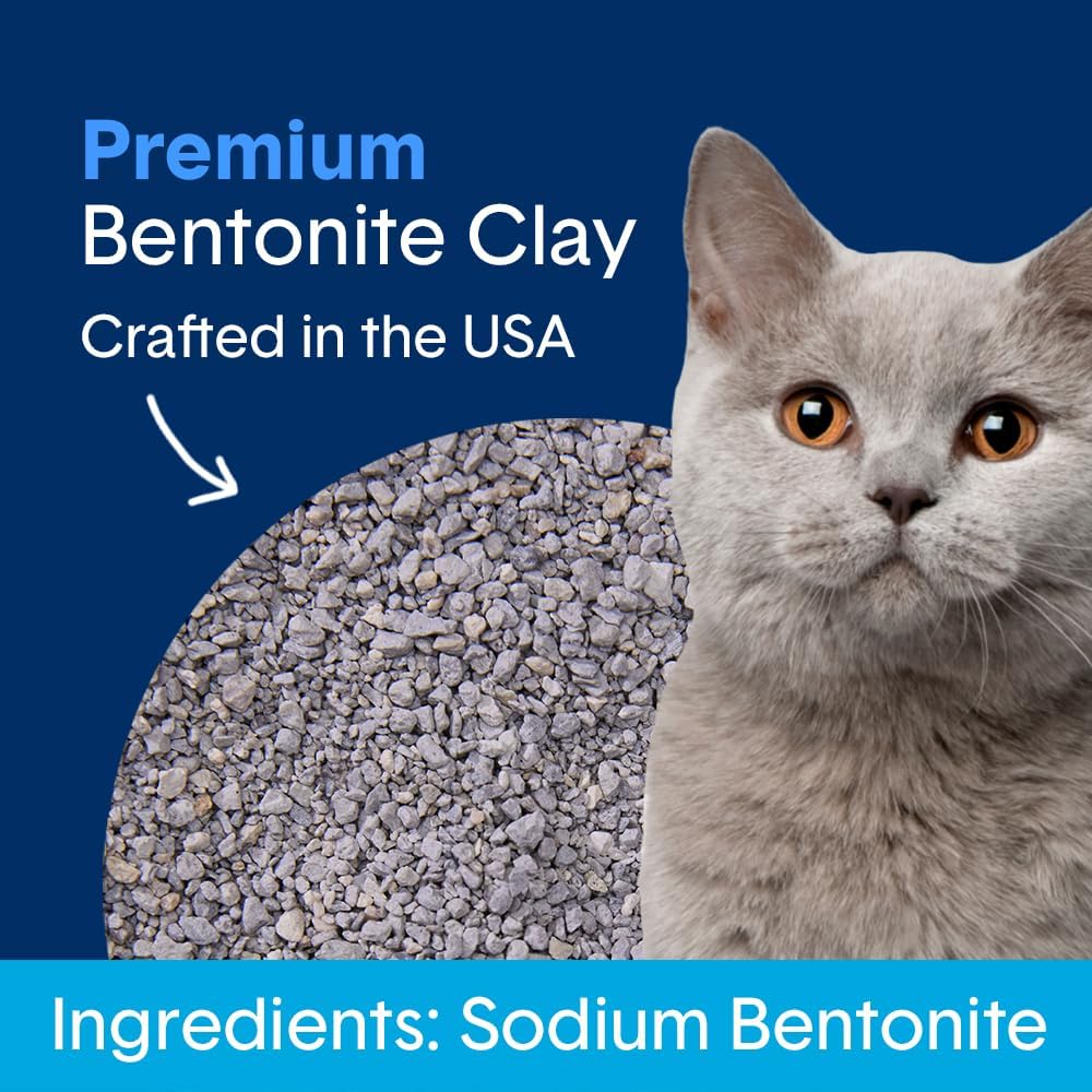 Boxie Unscented 30 Day Odor Control Clumping Clay Cat & Kitty Litter