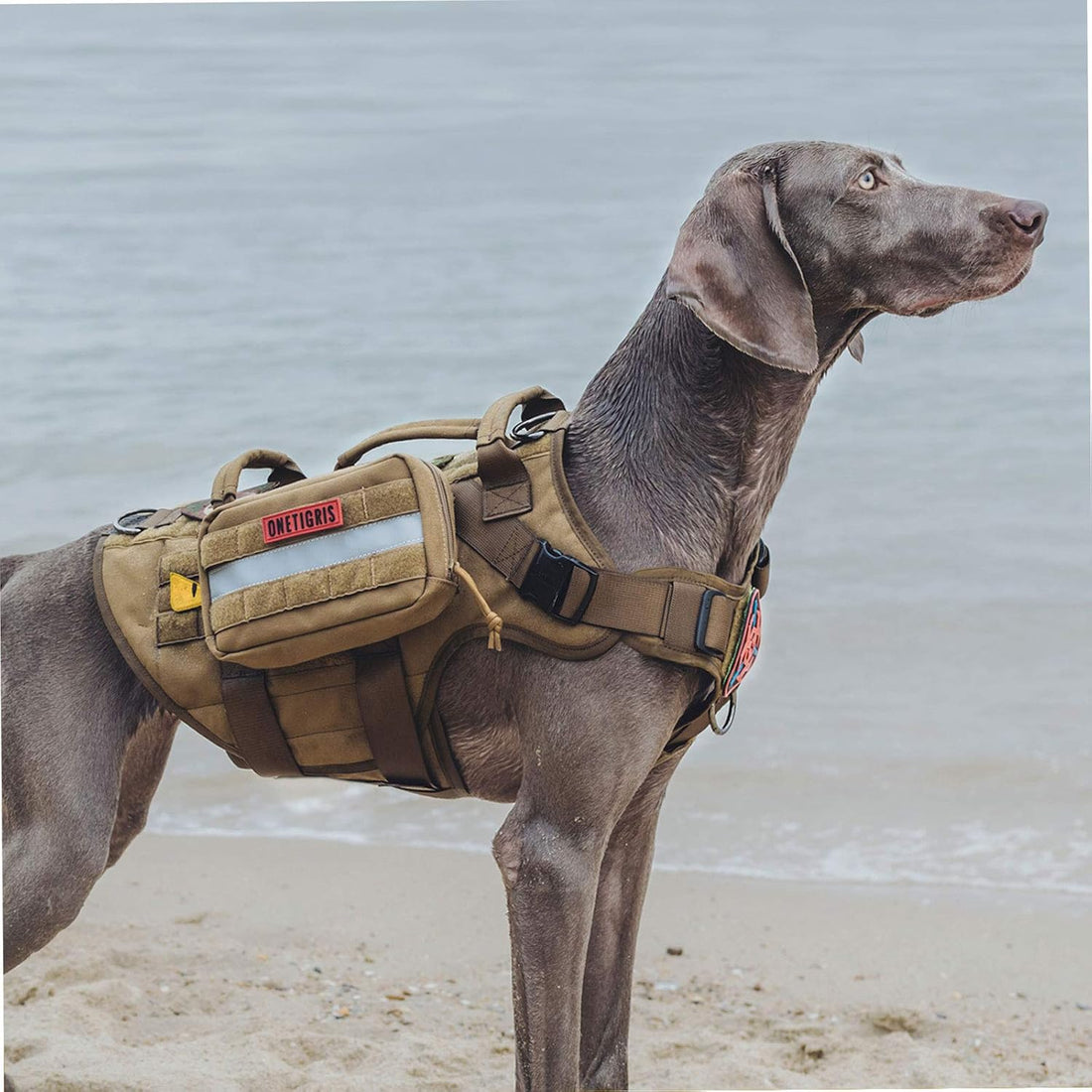 OneTigris Service Dog Vest Harness Saddle Bag Backpack Pouch
