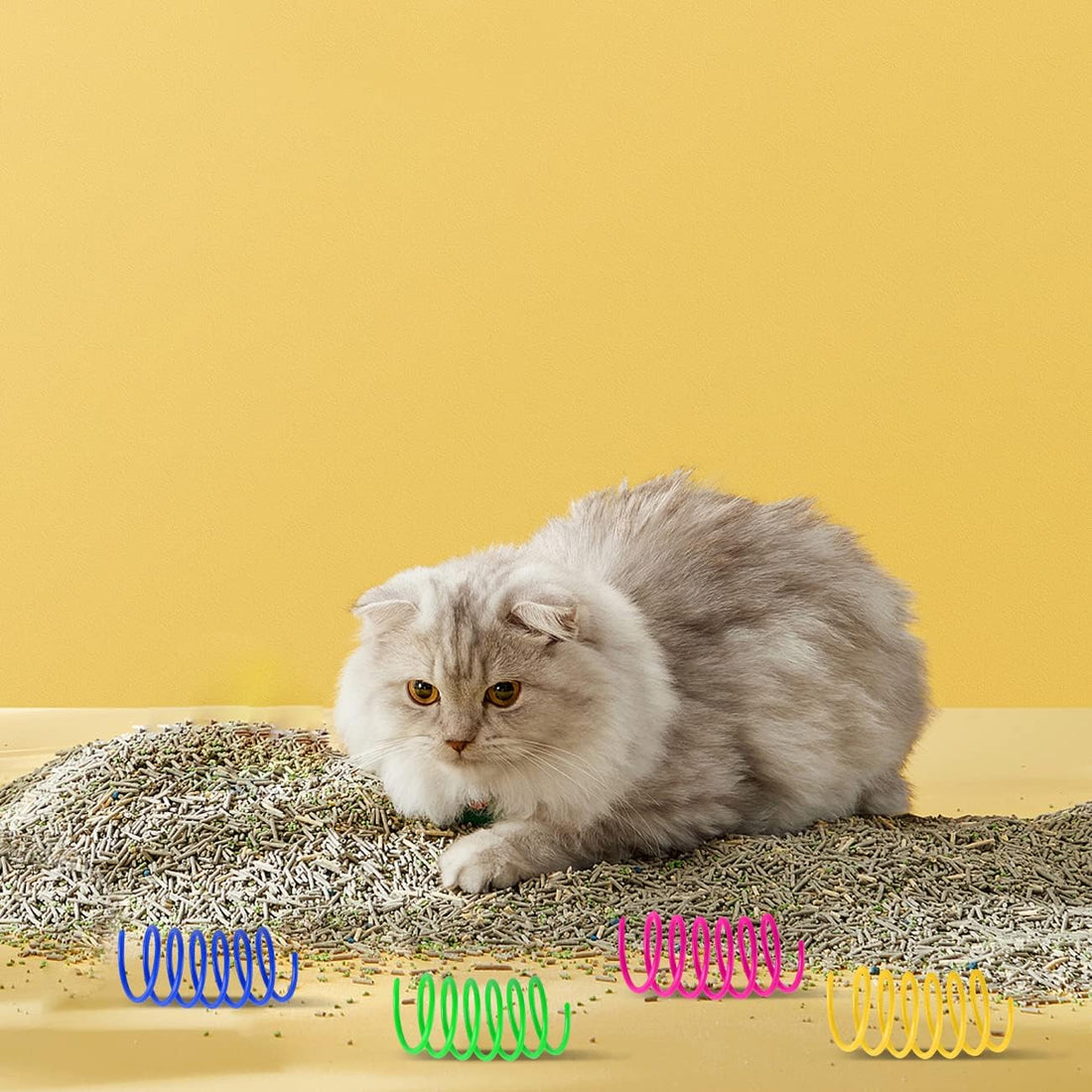 72 PCS 12 Colors Cat Spring Toys for Indoor Cats
