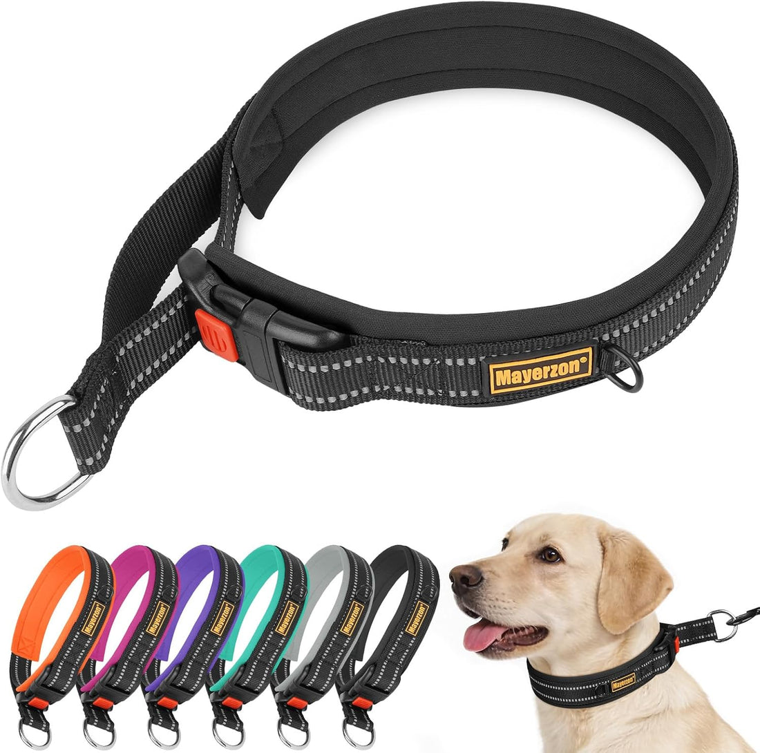 Mayerzon 1.5" Wide Martingale Collar for Small Medium Dogs Precision