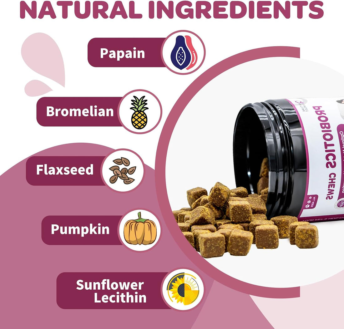 NATURE TARGET Probiotics for Dogs & Digestive Enzymes for Digestive