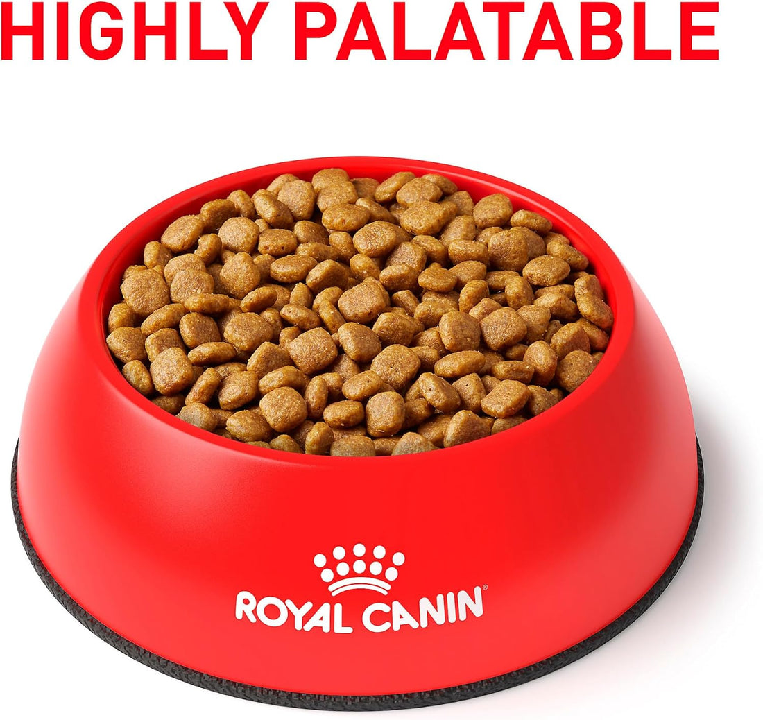 ROYAL CANIN Veterinary Diet Canine Renal Support A Adult Dry Dog Food