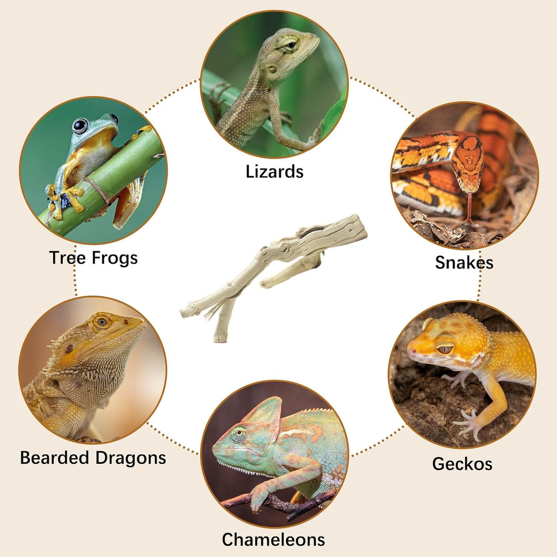 Snake Climbing Branch Wood Enclosure Decor Terrarium Logs
