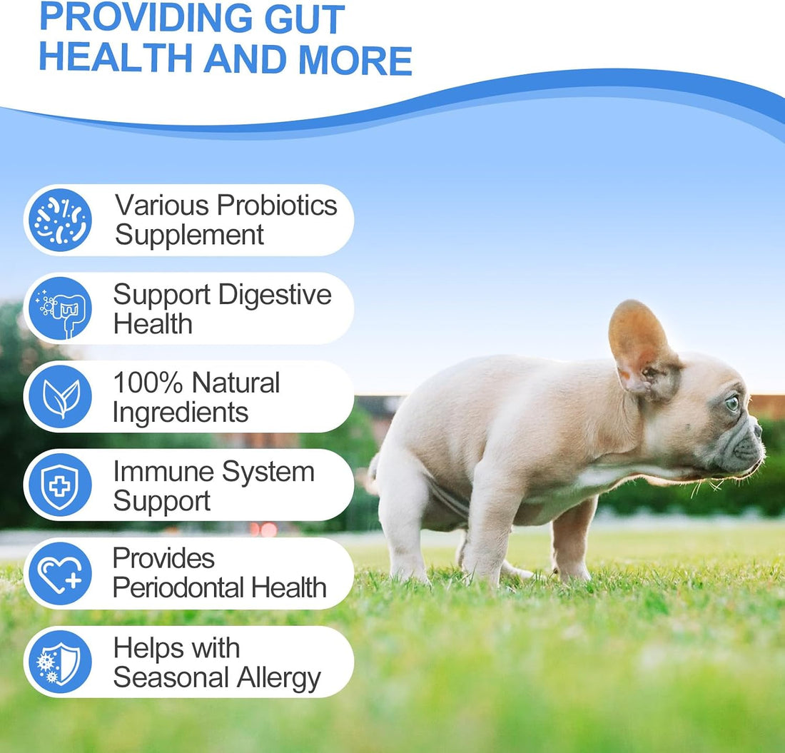 Probiotics for Dogs Gut Digestive Health Probiotic Chews for Dogs