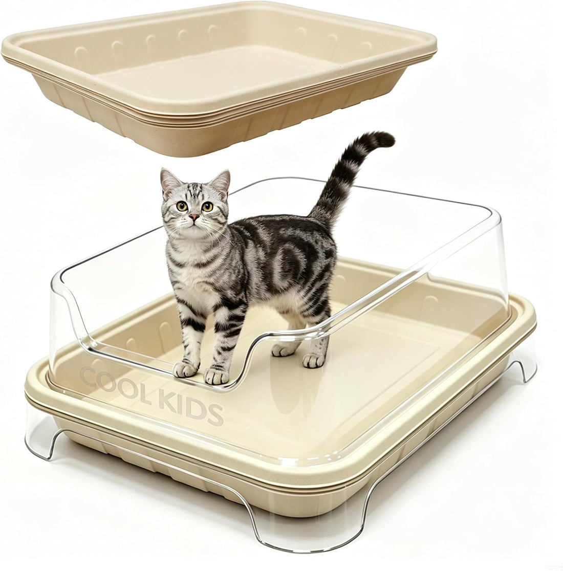 Cool Kids 1+5 Pack Disposable Litter Boxes for Cats – Travel Set