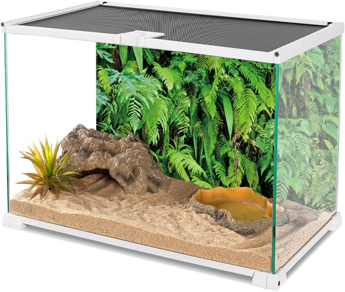 48x24 in Terrarium Backdrop Rainforest Plant Reptile Habitat