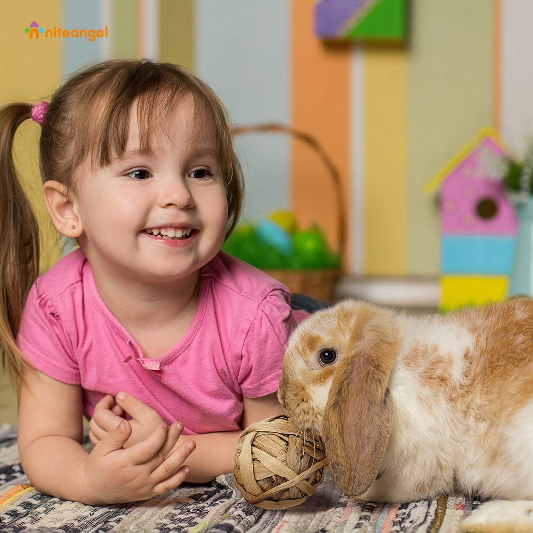 Niteangel Natural Chew Activity Toys