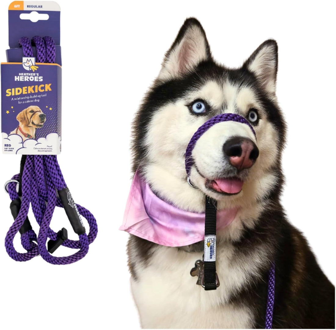 The Sidekick, Reg 3/8" Colors: