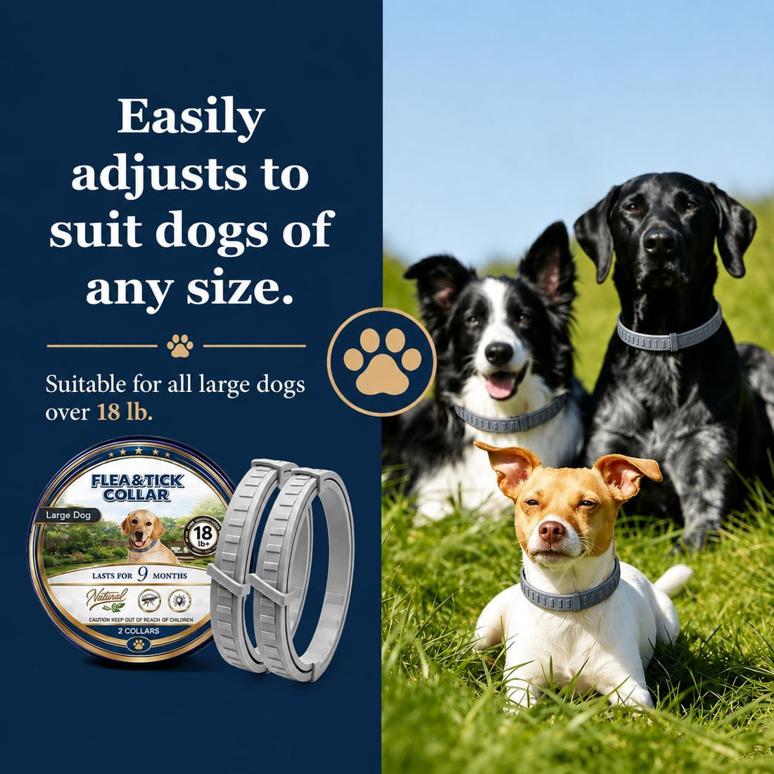 Flea Collar for Dogs Large, Tick and Flea Collar for Dogs, 2P