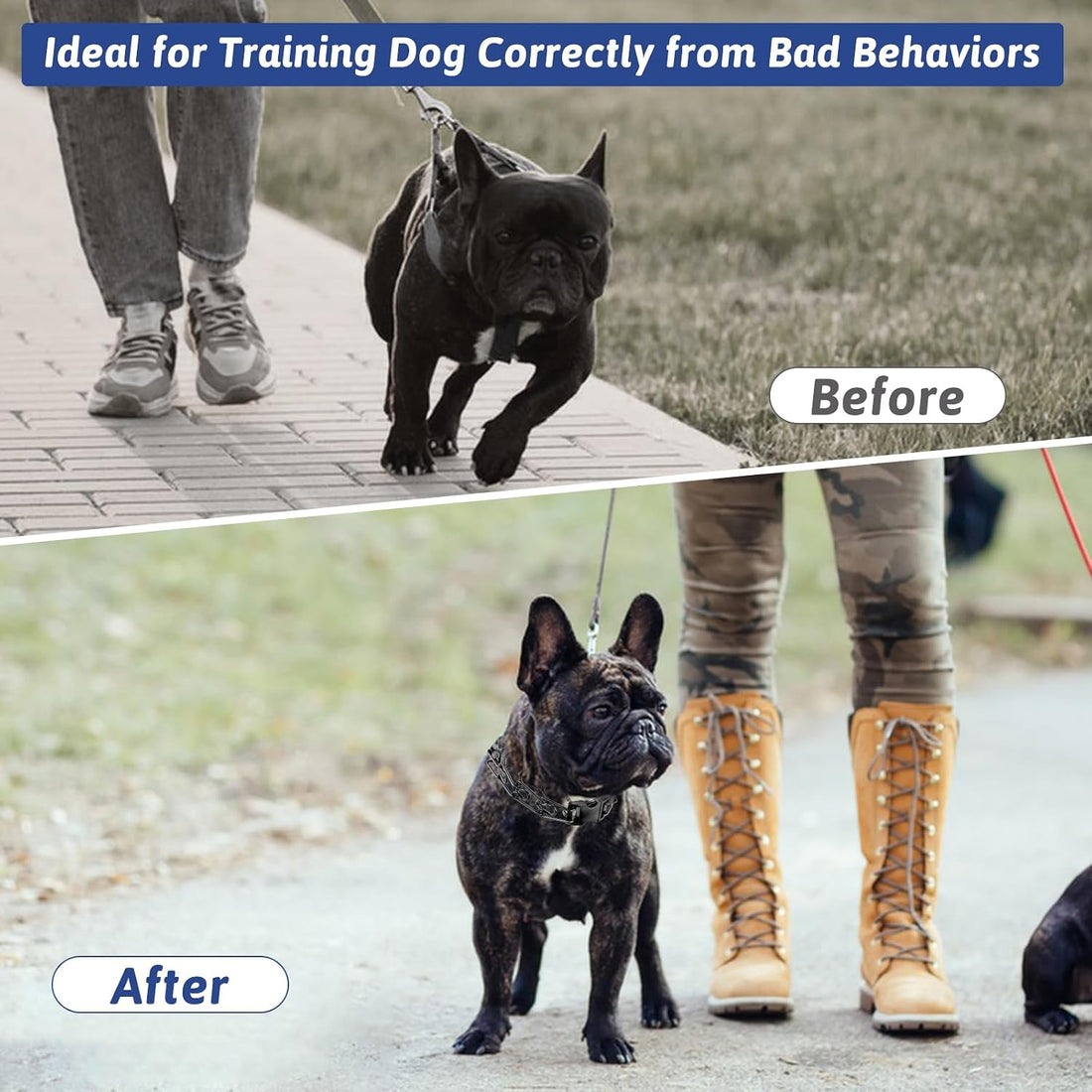Pinch Collar for Dogs, Prong Training Collar with Quick Release