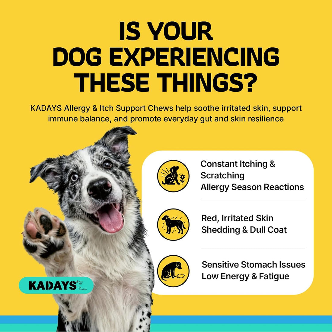 Dog Allergy Chews 180Ct - Sensitive Skin & Gut Health, Anti Itch