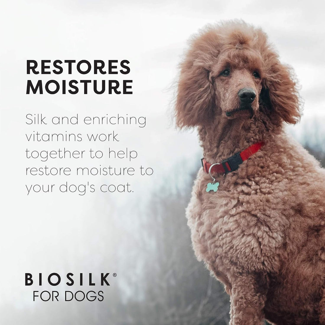 BioSilk Silk Therapy Conditioning Detangling Spray for Dogs