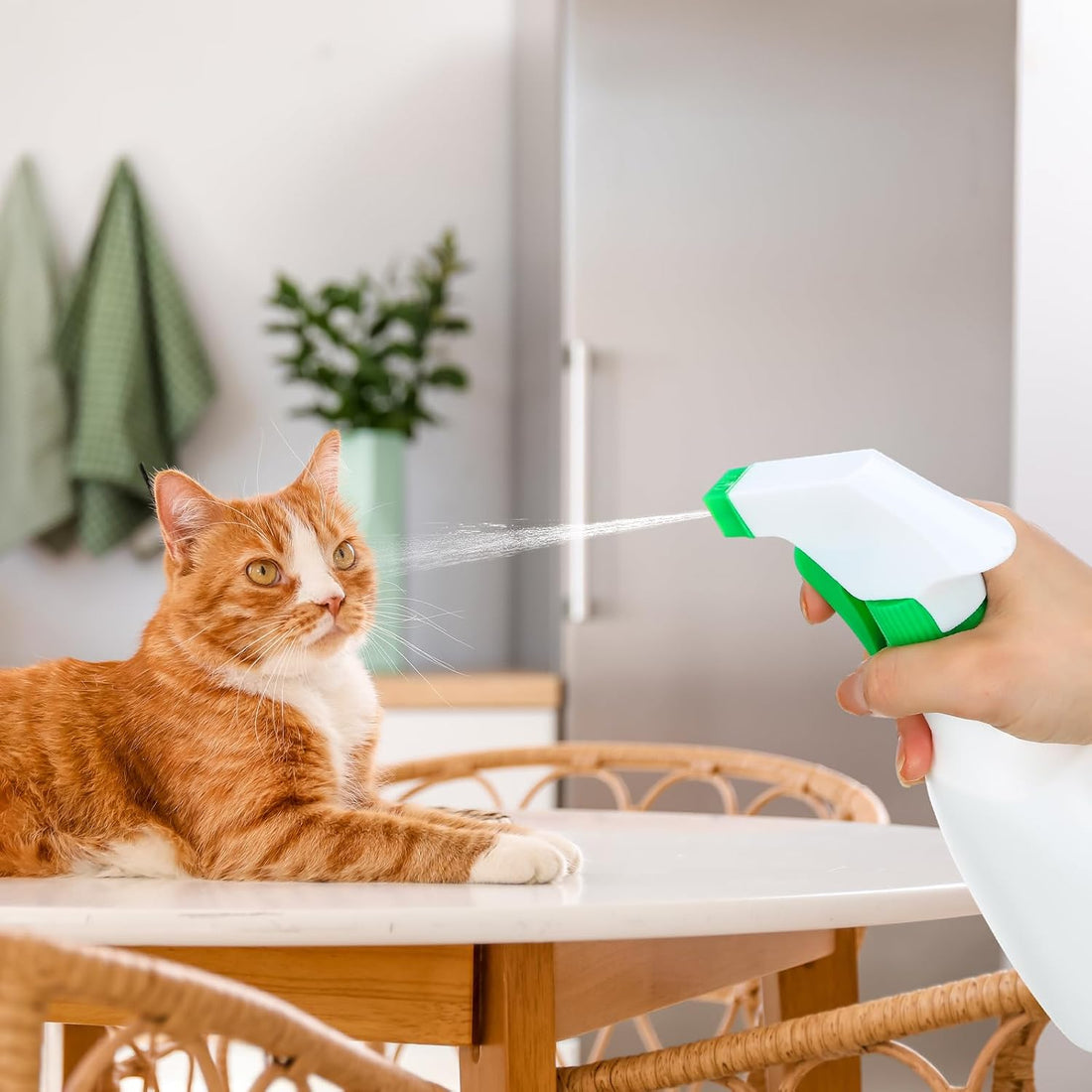 Geelin 2 Pcs Squirt Gun for Cats Dogs Training Water Spray Deterrent