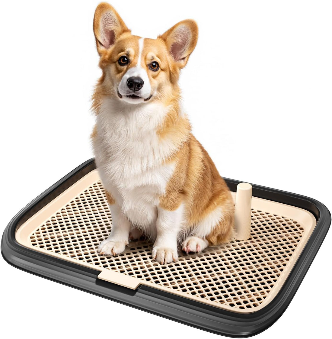 Dog Potty Tray, 23.6"x17.68" Indoor Pet Pee Pad Holder,Puppy Training