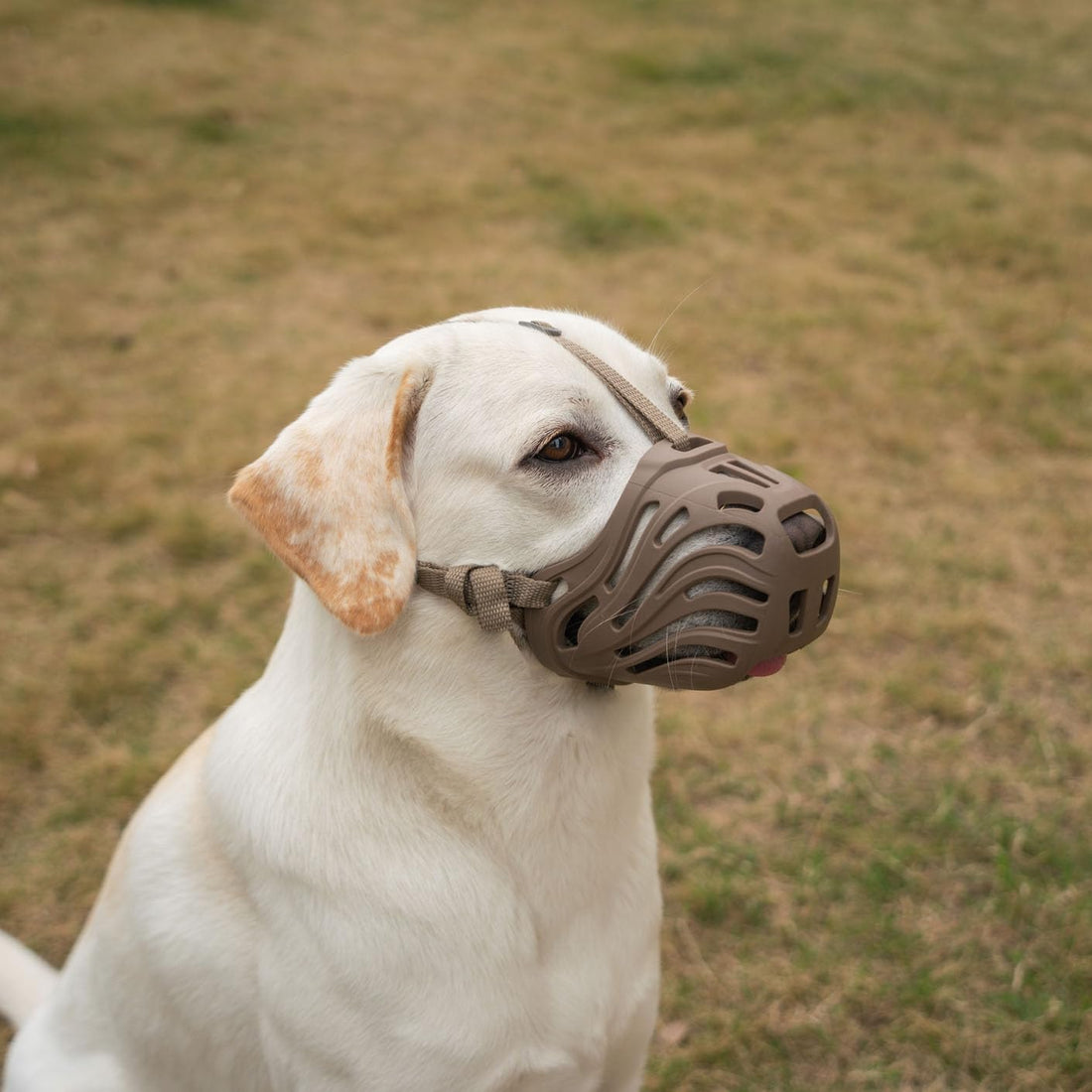 Dog Muzzle for Large Dogs Basket Soft Adjustable Muzzle
