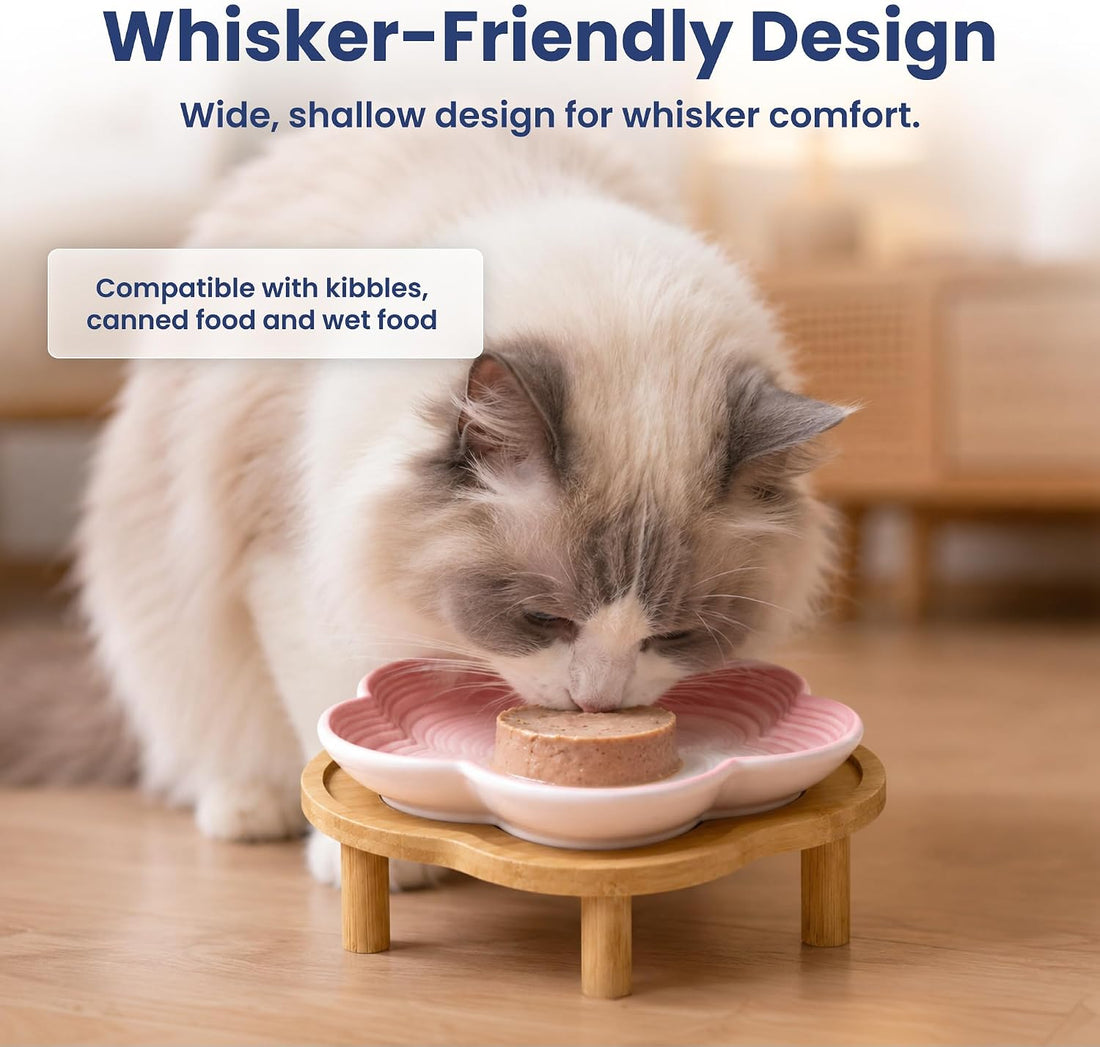 PawsPik Flower Ceramic Feeding Cat Plate with Raised Stand