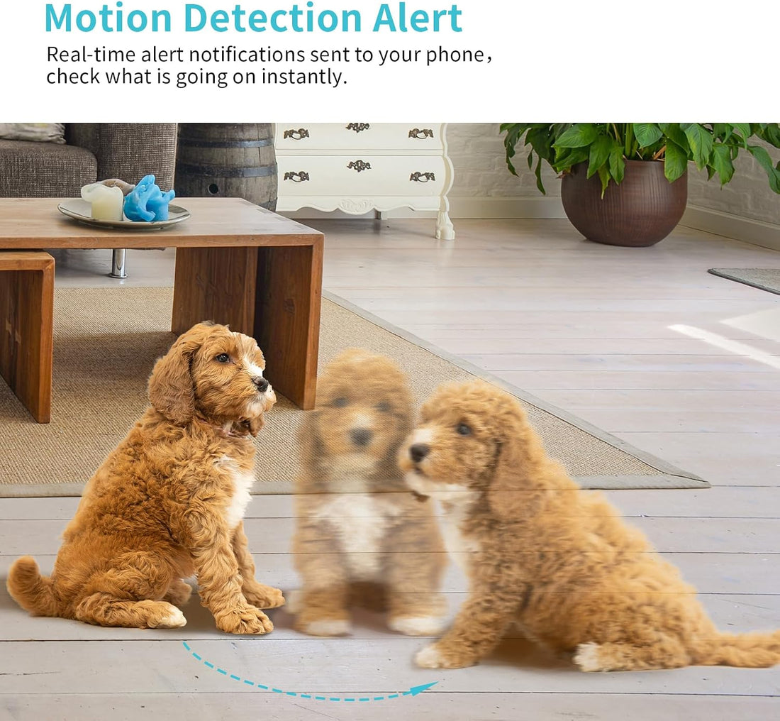 Pet Camera, 2K HD Dog Camera with Phone APP