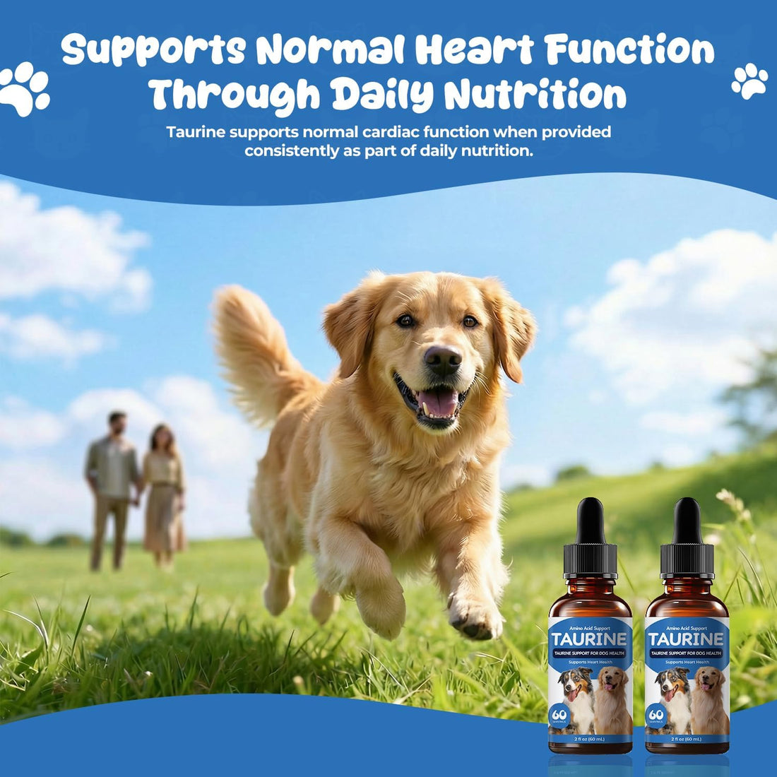 Taurine Liquid Supplement for Dogs, Heart & Muscle Function
