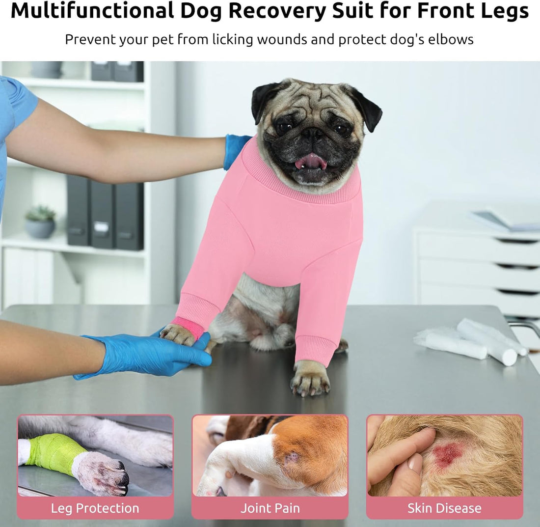 Queenmore Recovery Sleeve for Dogs Front Leg