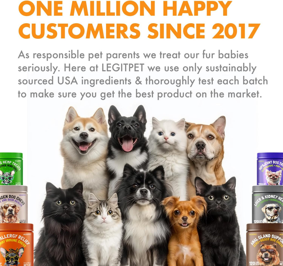 Hairball Treatment for Cats Natural Remedy with Apple Pomace