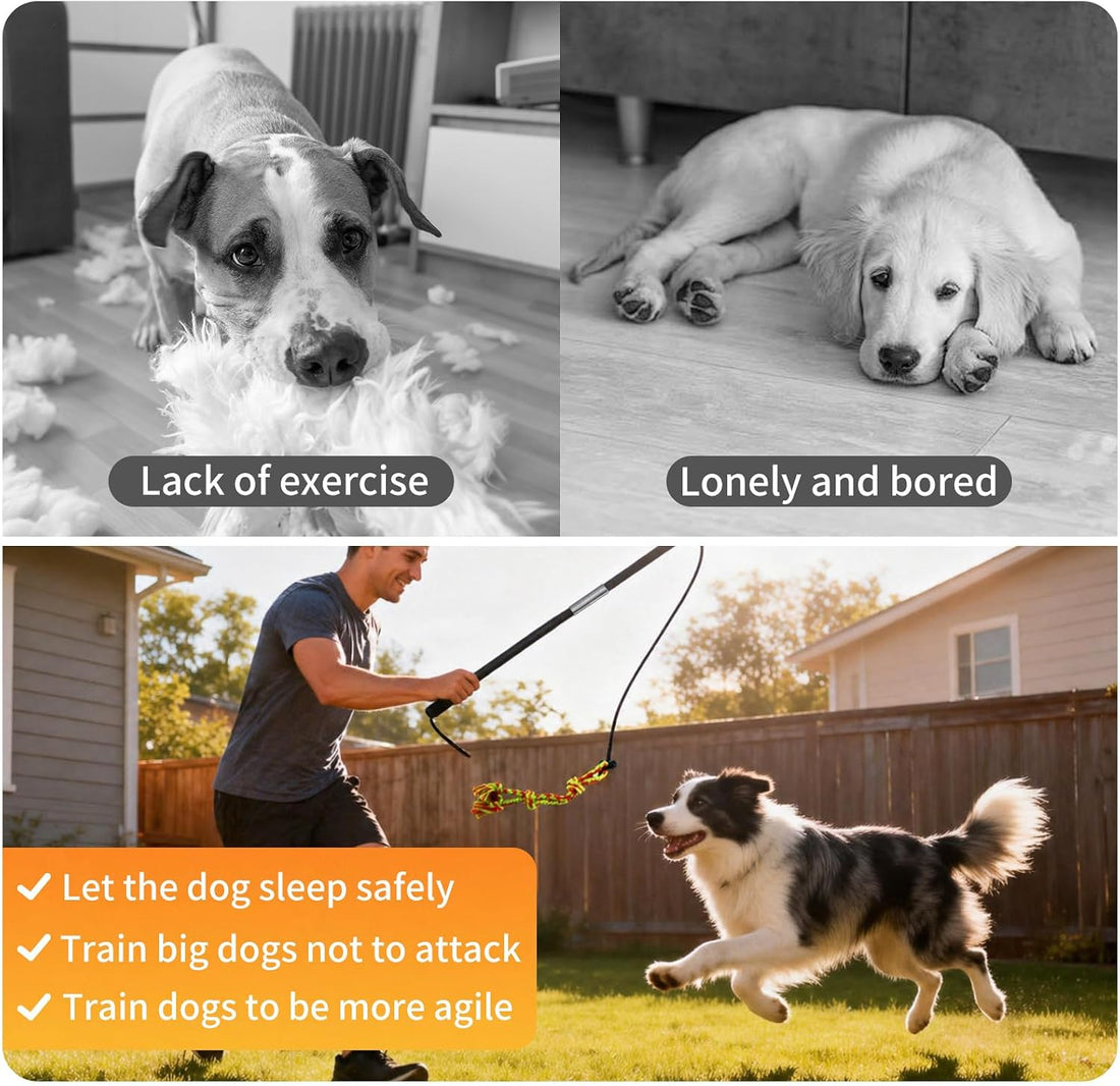 Flirt Pole for Dogs with Squeaker & Rope – Includes XL Carry Bag
