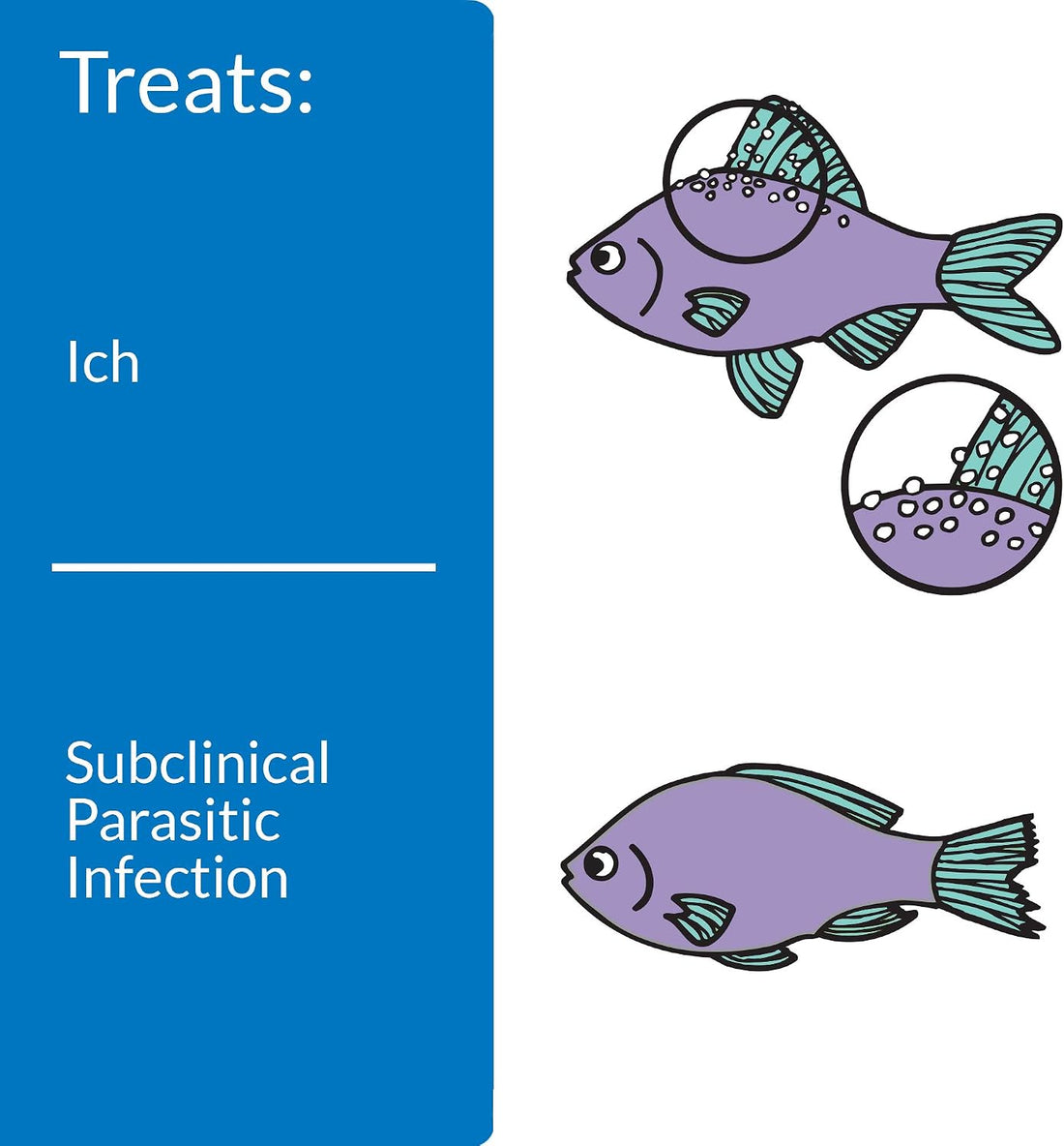 API LIQUID SUPER ICK CURE Freshwater and Saltwater Fish Medication
