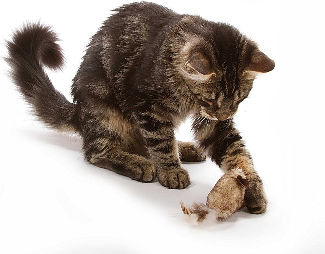 OurPet's Play-N-Squeak Twice the Mice Cat Toy, 2pc