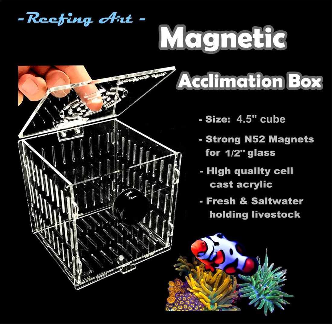 Magnetic Acclimation Box Fish Breeder Nursery Isolation Tank