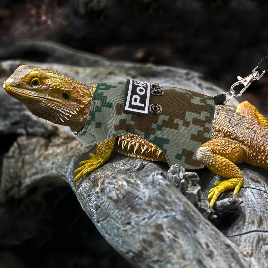 Hypeety Bearded Dragon Harness and Leash Set for Outdoor Walking