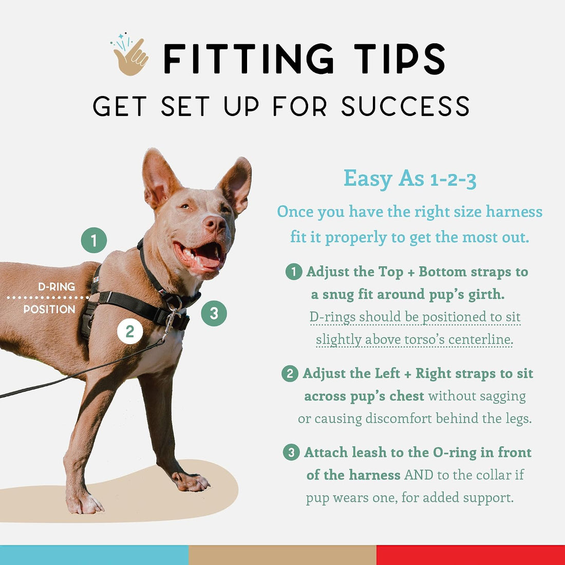 Wildebeest No Pull Dog Harness | Comfortable Training Harnesses