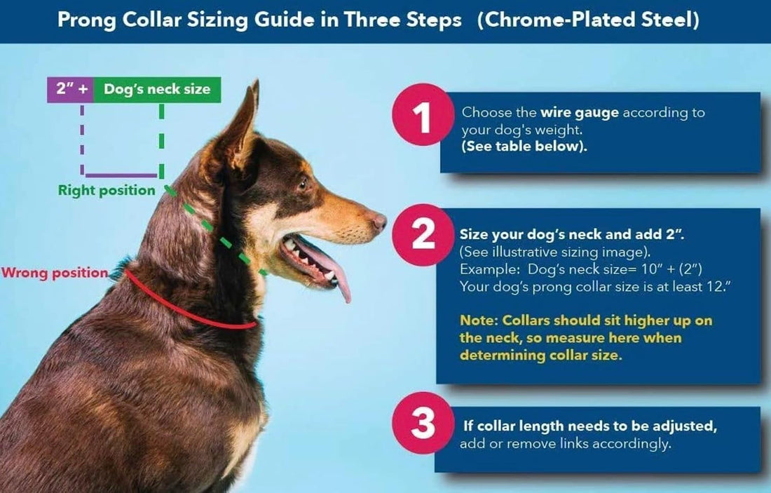 Herm Sprenger 2.25mm Prong Collar for Dogs Training