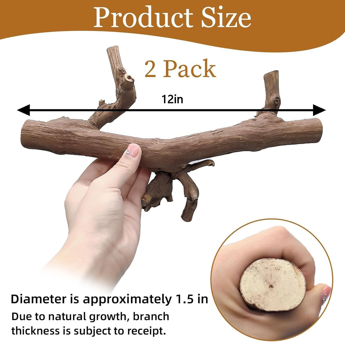 2PCS Reptile Wood Branches Decor,Snake Climbing Branch Tree Trunk
