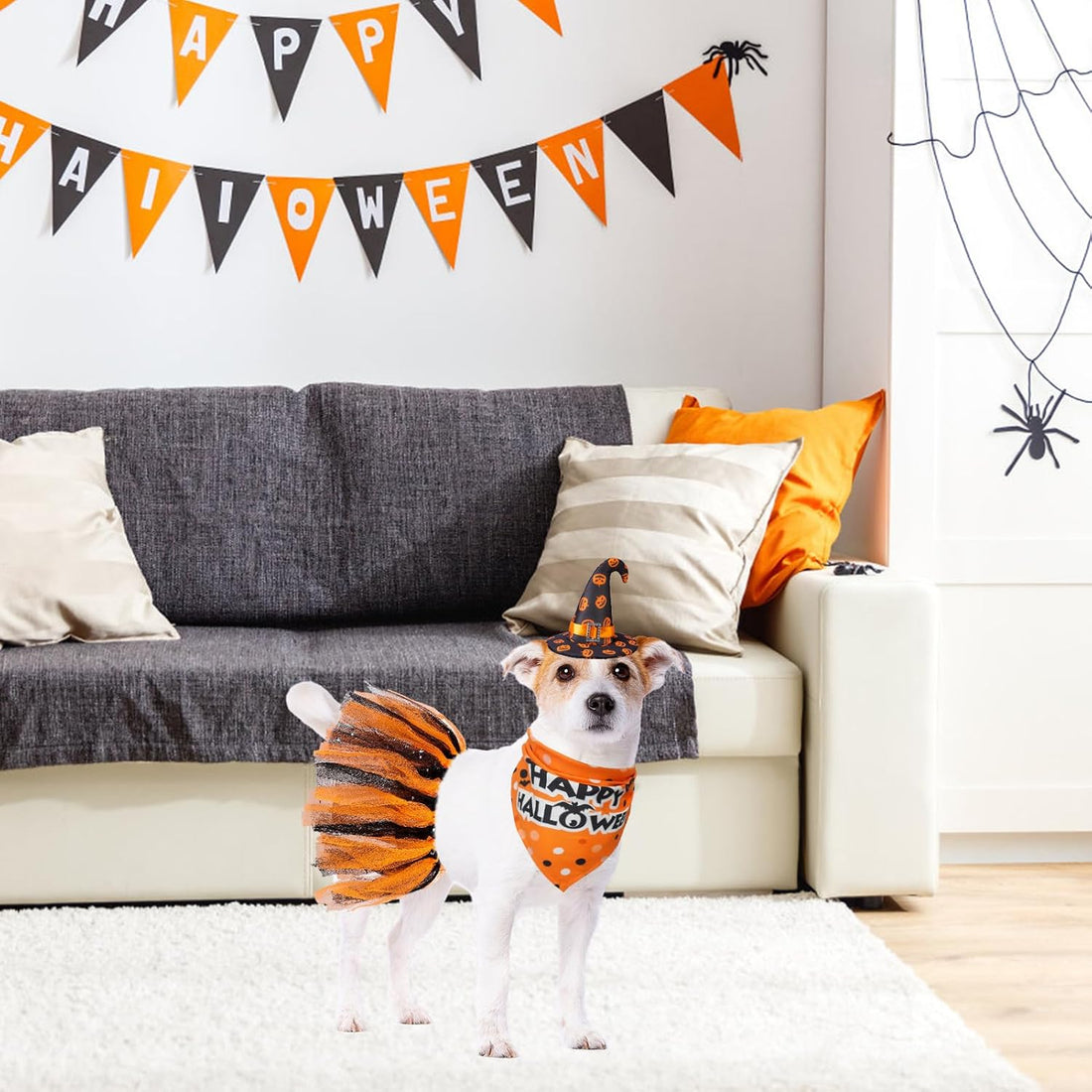 SCENEREAL Small Dog Halloween Costumes, Bandana Hat Dress Set