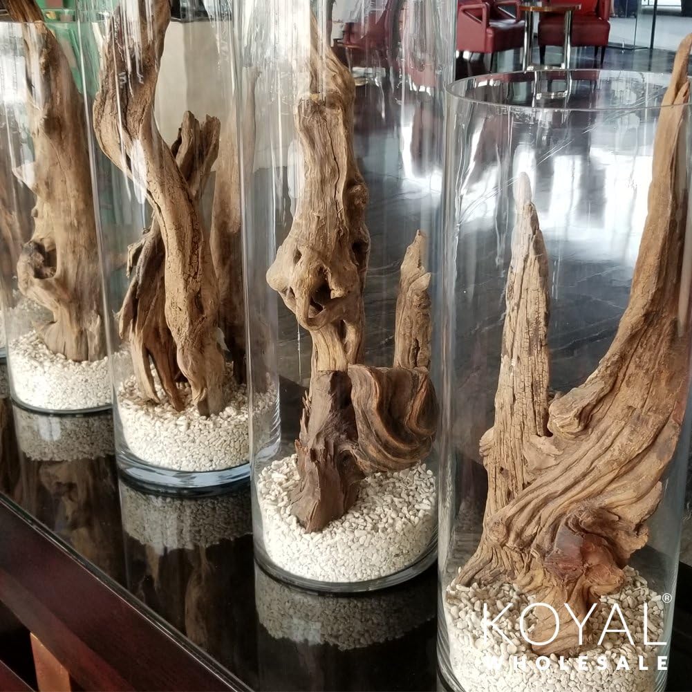 Koyal Wholesale 12” Driftwood Terrarium Decor