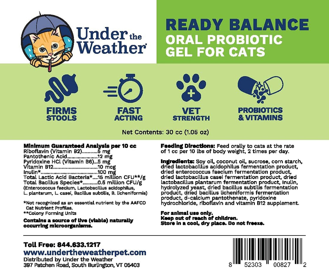 Under the Weather Pet | Ready Balance